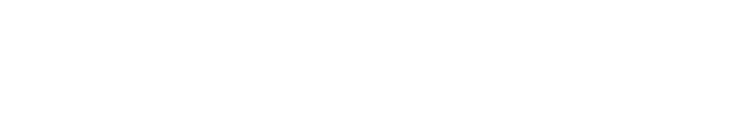 성심통상 로고 반전형